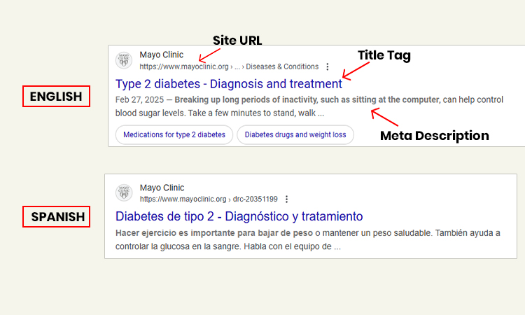 Translate and Optimize Your Pages