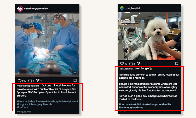 Add Trending Hashtags and Creative Captions to Your Posts