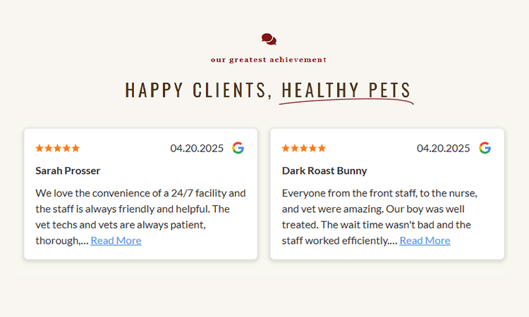 Tell Your Success Stories in the Veterinary Field and Share Testimonials