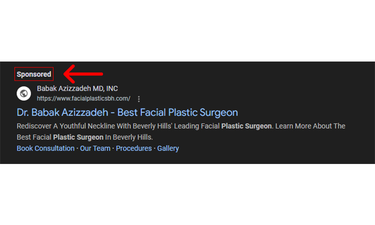 Make Use of Paid Search to Achieve Instant Visibility