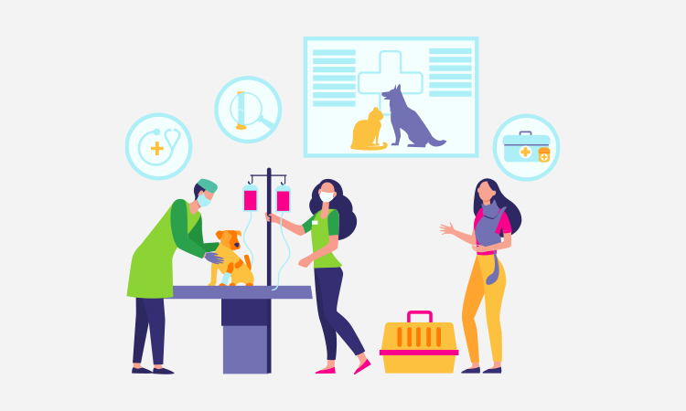 Segment your Audience Successfully